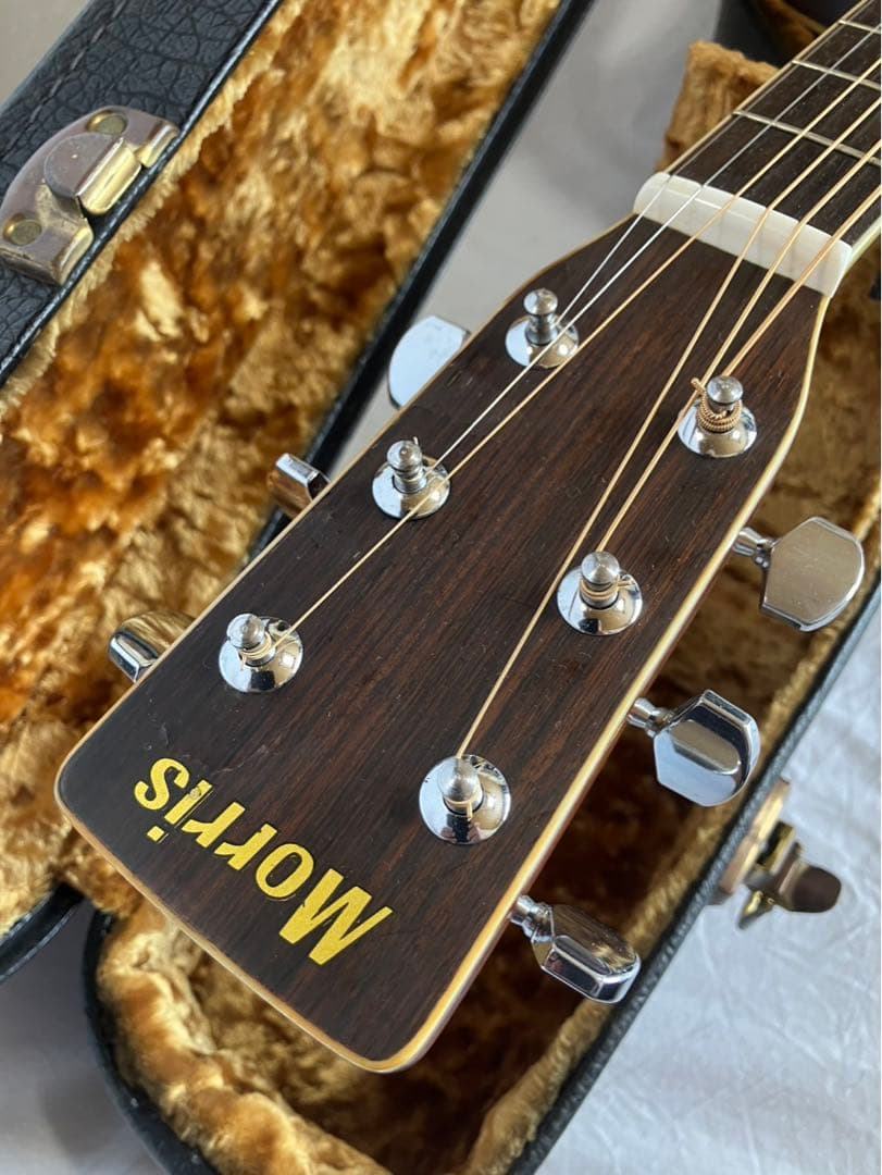 アコースティックギター　Morris. W-25 木目の綺麗なジャパンビンテージ