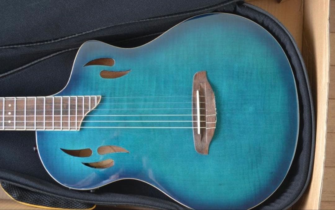 【ほぼ新品】Ortega RTPDLX-FMA TOURPLAYER エレガット