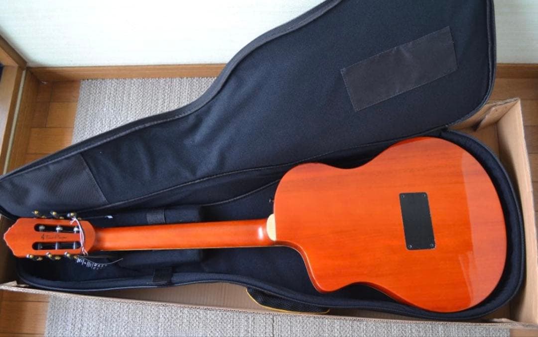 【ほぼ新品】Ortega RTPDLX-FMA TOURPLAYER エレガット