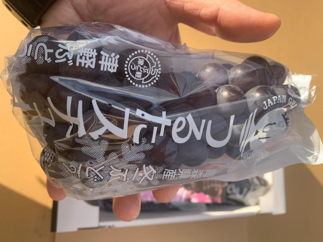 【週末値引】青森県津軽地方産ぶどう　つるたスチューベン　約１０キロ　ご家庭贈答用