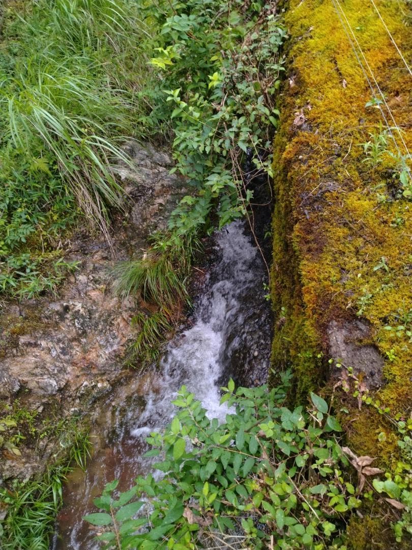 令和7年度【湧き水栽培】農薬不使用玄米　ひのひかり 10㎏　奈良の農家直送