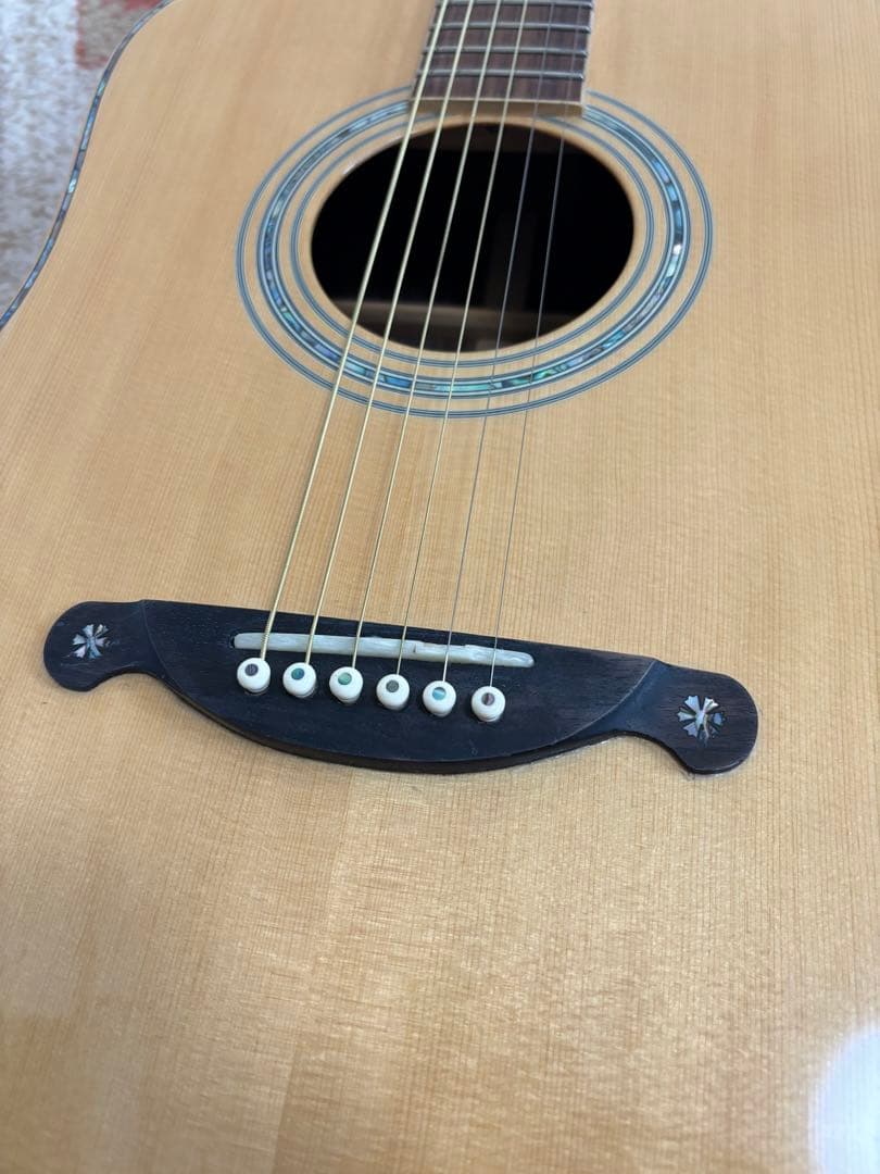 JAMES JD900 NA オール単板ギター