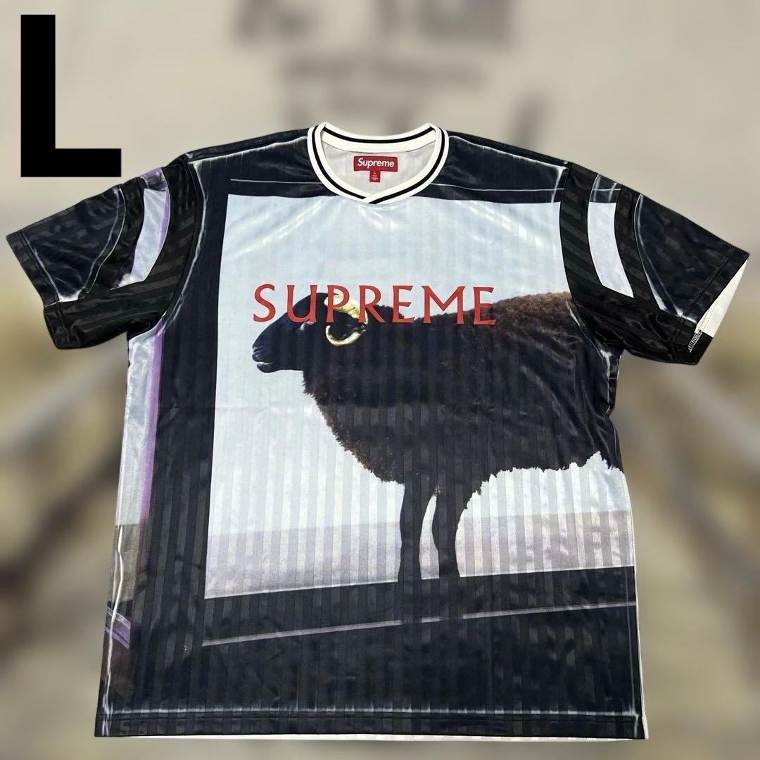最安値　Supreme x Damien Hirst Soccer Jersey