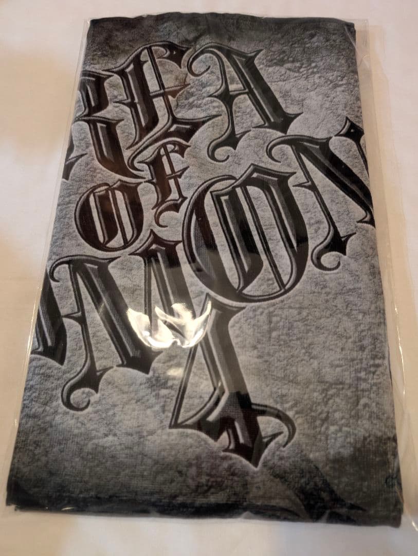 【ちゃんみな】AOD4 タオル ペンラ Tシャツ M セット