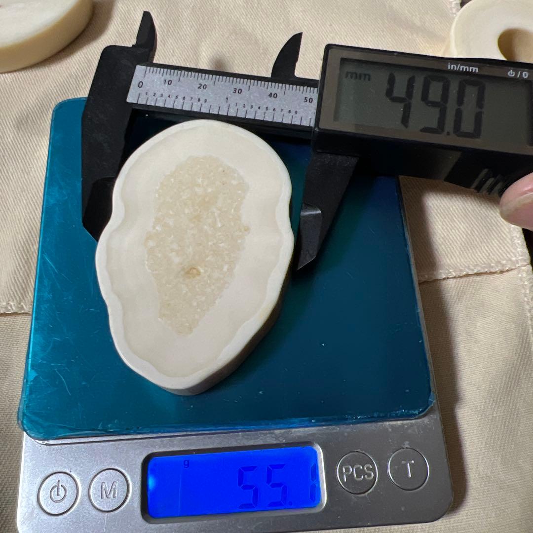堤げ物 輪切り セイウチ 根付 54g 牙 饅頭