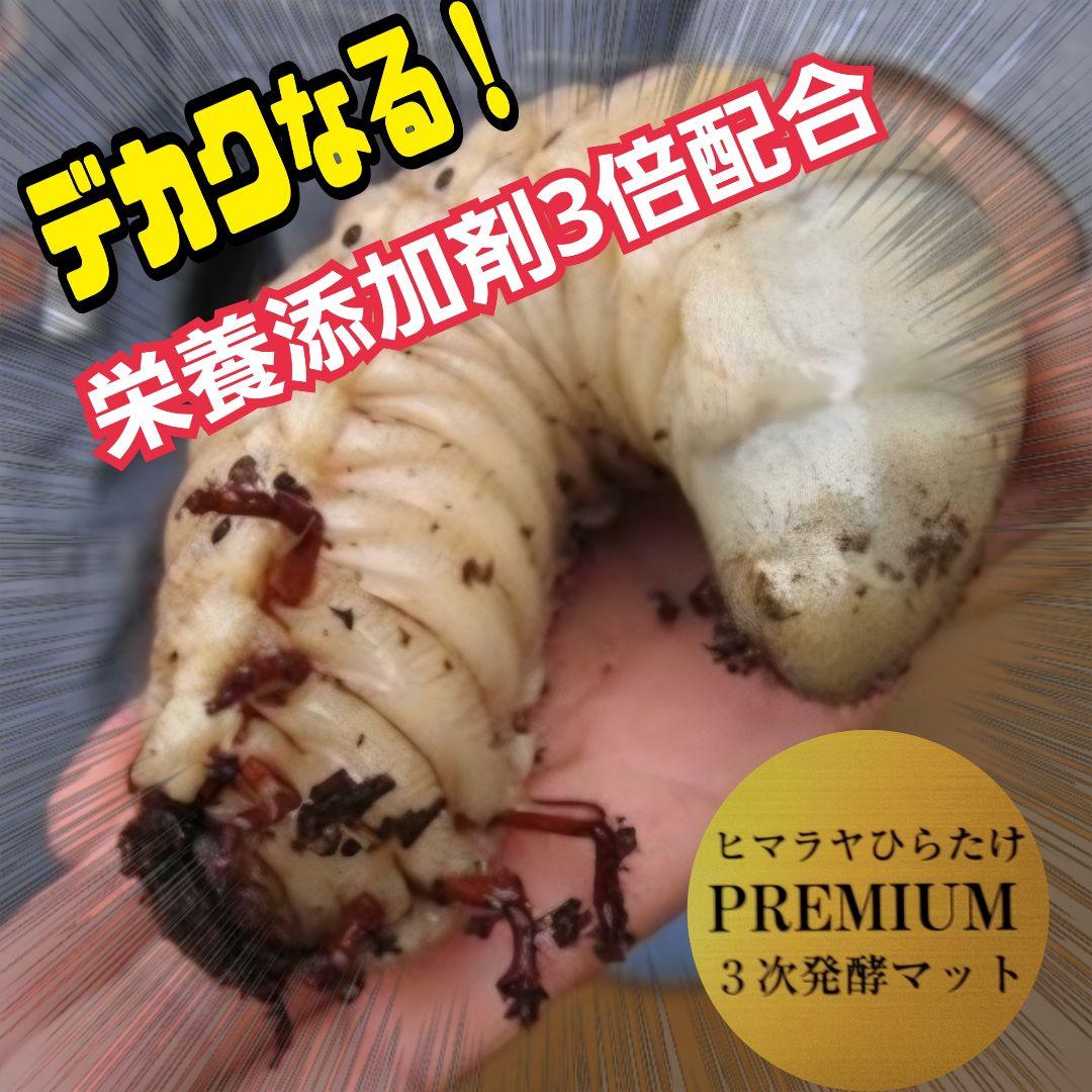 プレミアム3次発酵カブトムシマット　100リットル　ヘラクレス181ミリ羽化実績