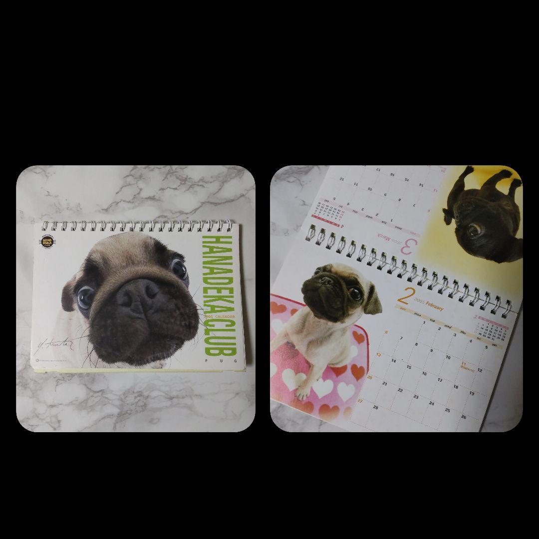 レア！ Bestever ベストエバー Pug パグ　の商品など【ヴィンテージ】