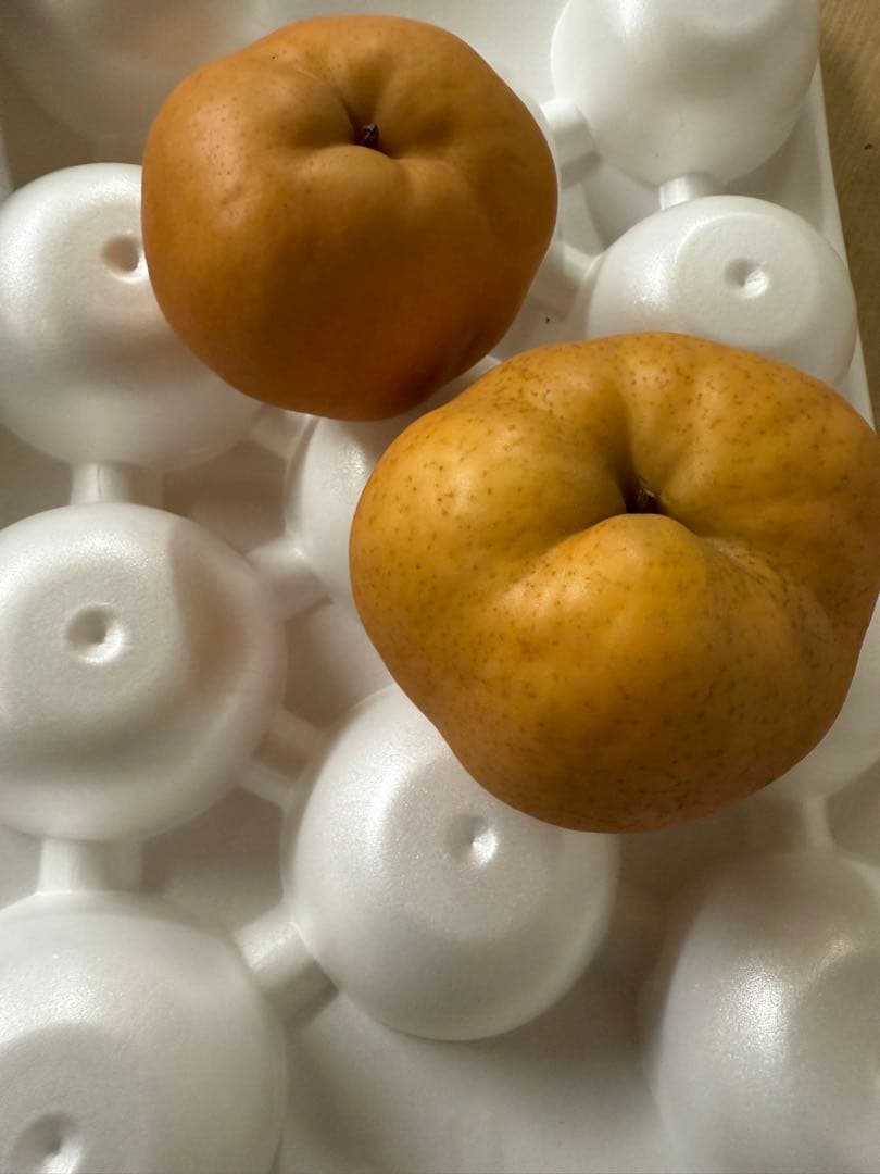 梨　愛宕　家庭用　20㎏