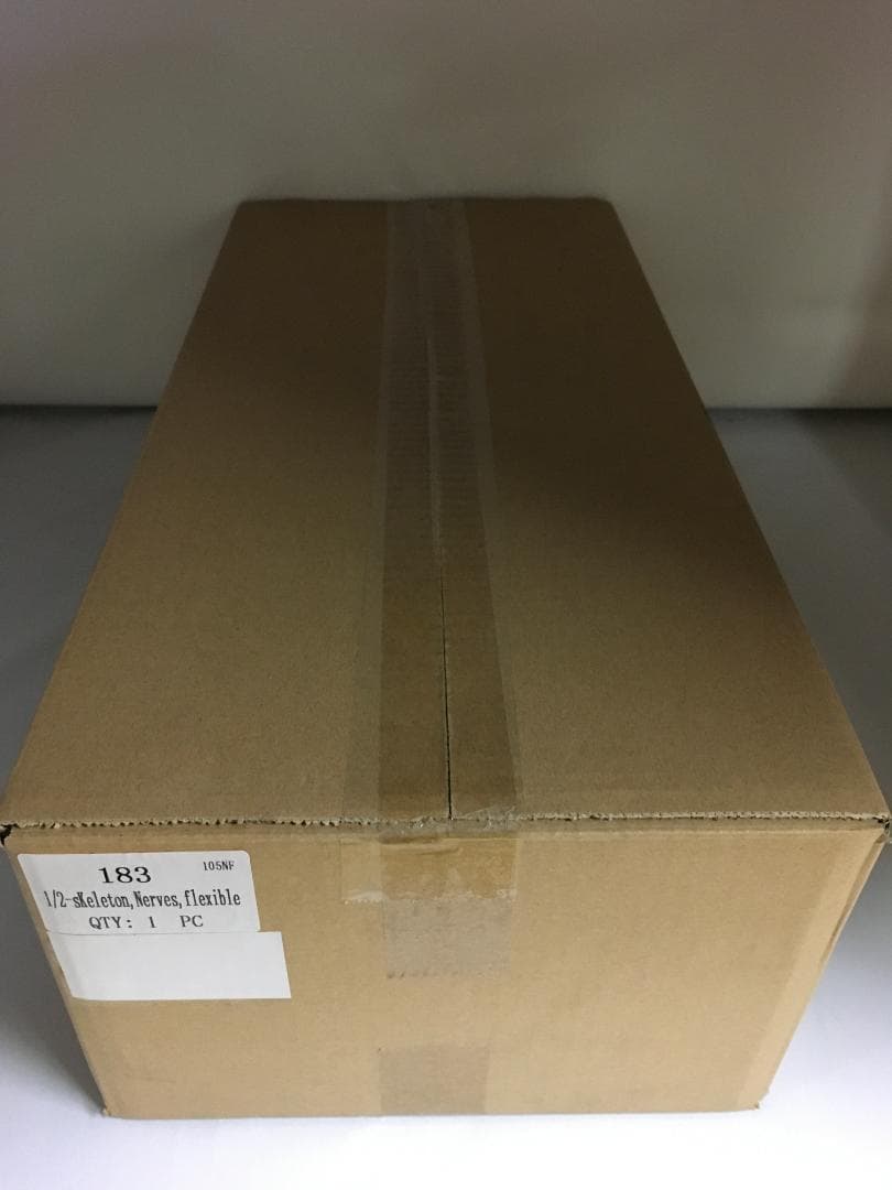 1/2スケール 人体模型 可動式