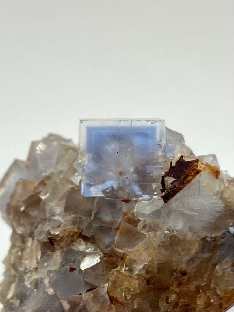 バ*チ様 フローライト　ブラックフォレスト　黒い森