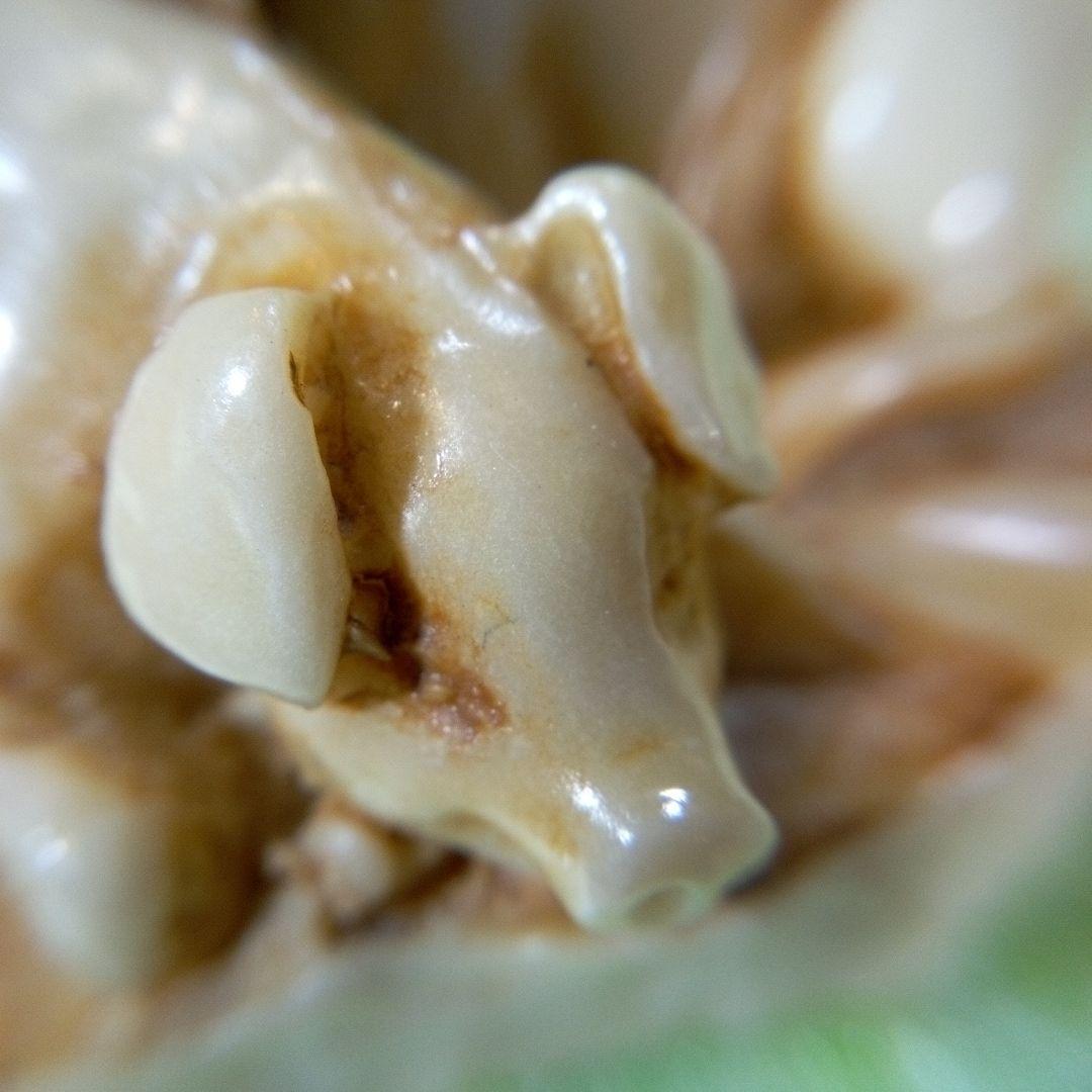 豚の置物　二匹の豚　フィギュア　オブジェ　ディスプレイ　アンティーク　レトロ