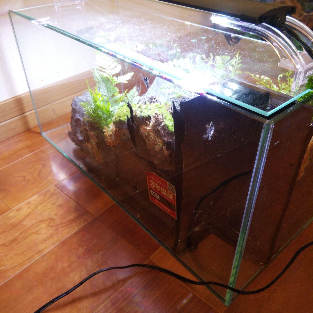 【受注生産】滝の流れるアクアテラリウム　イモリウム　苔テラリウム　テラリウム