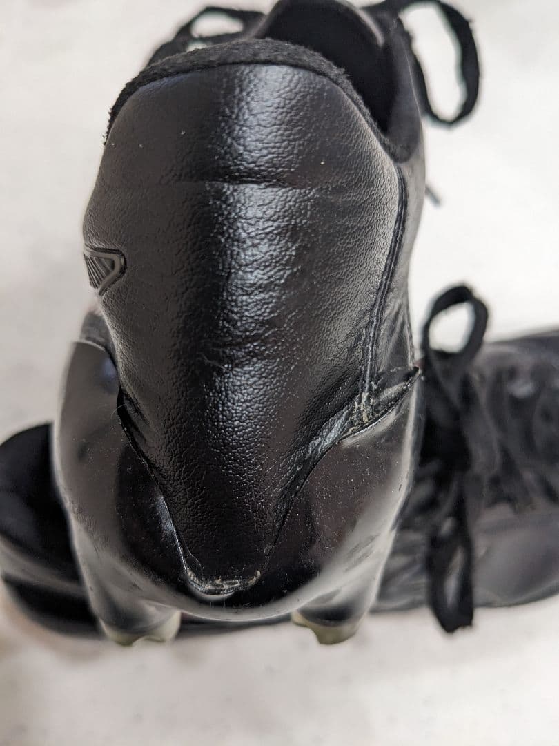 【25.0】asics DSライトx-fly4 JAPANブラック