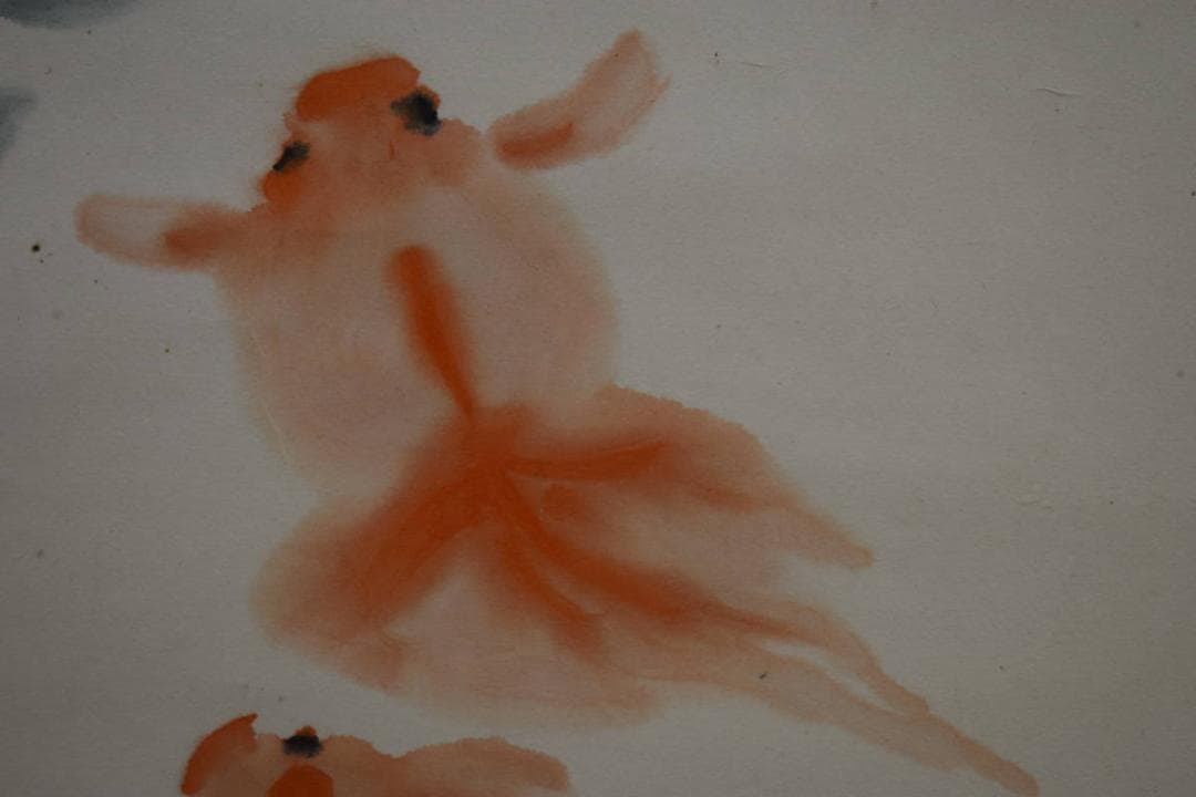 真作/下村為山/金魚図/絹表装/桐共箱付/布袋屋掛軸HG-102