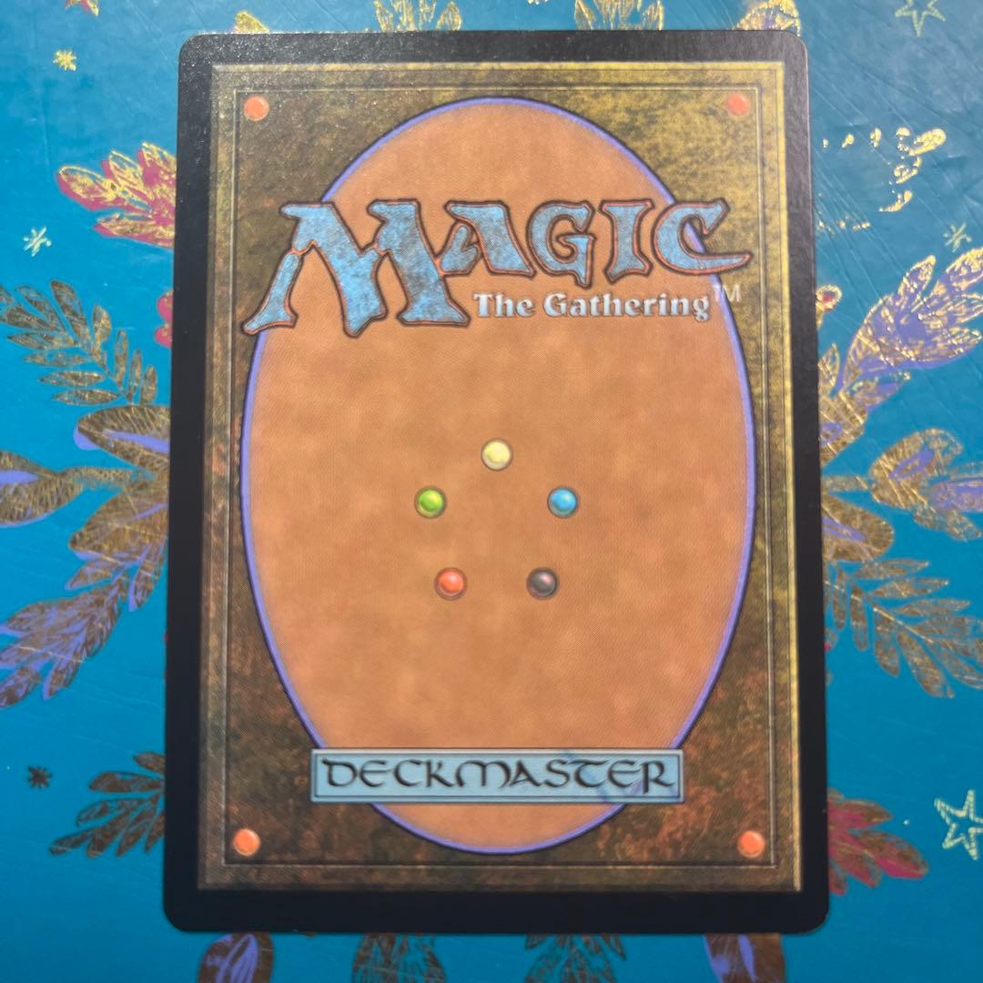 mtg 湿った墓　エクスペディション　foil