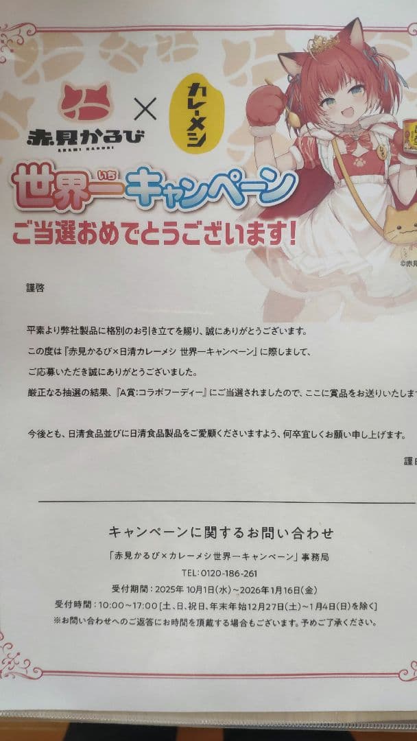 赤見かるび×カレーメシ コラボキャンペーン A賞コラボフーディー