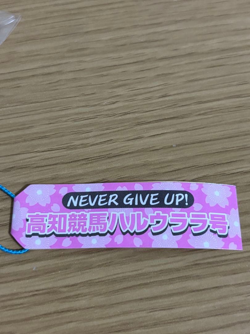 高知競馬 ハルウララ号 根付け　#1