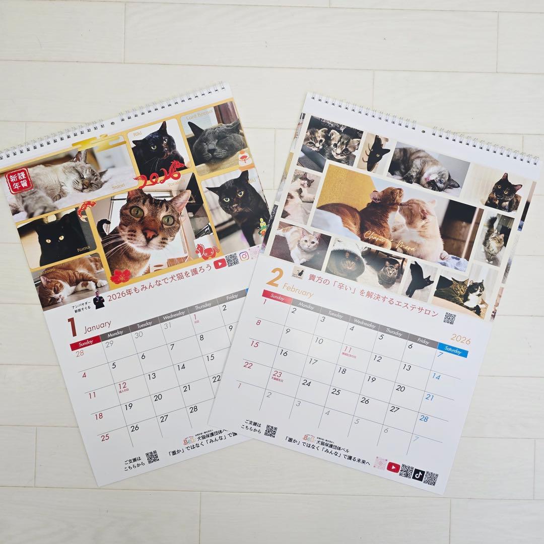 ③《猫》壁掛けチャリティーカレンダー10枚セット