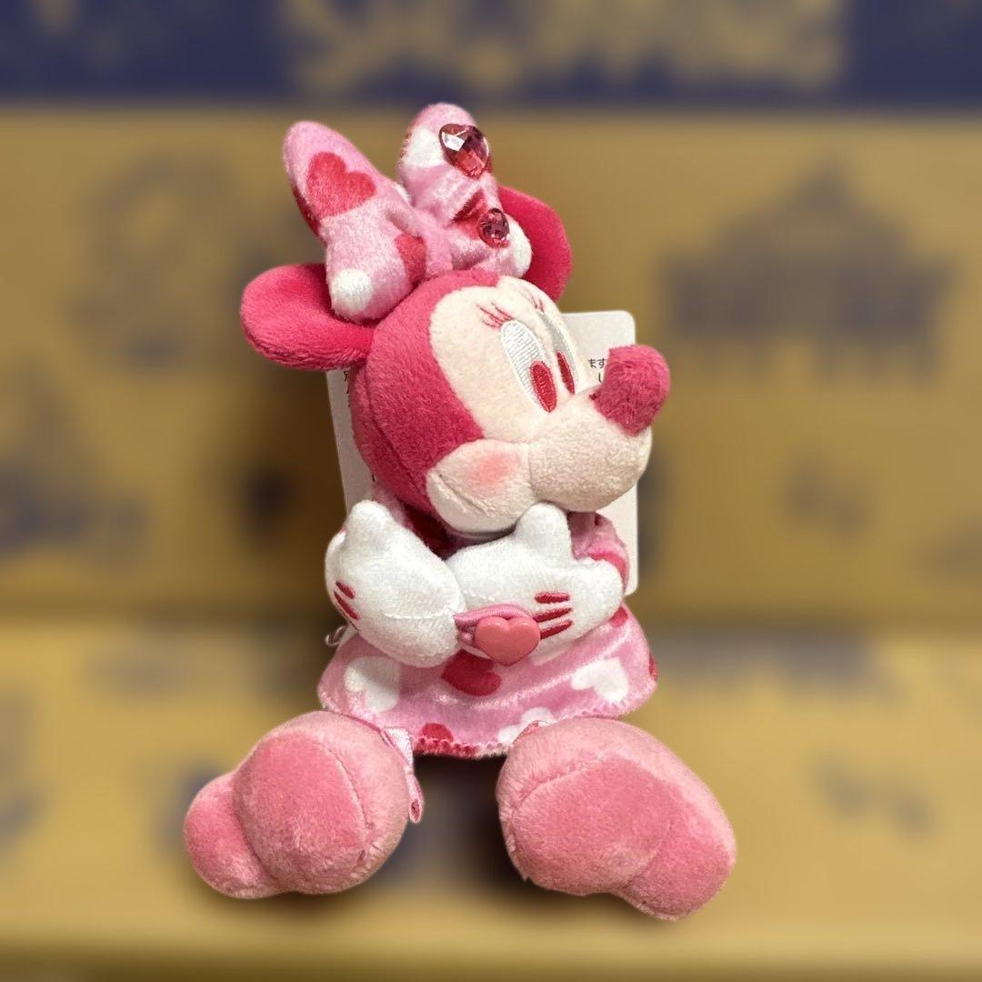 ディズニー パルパルーザ ミニーのファンダーランド 3点おまとめ 完売品