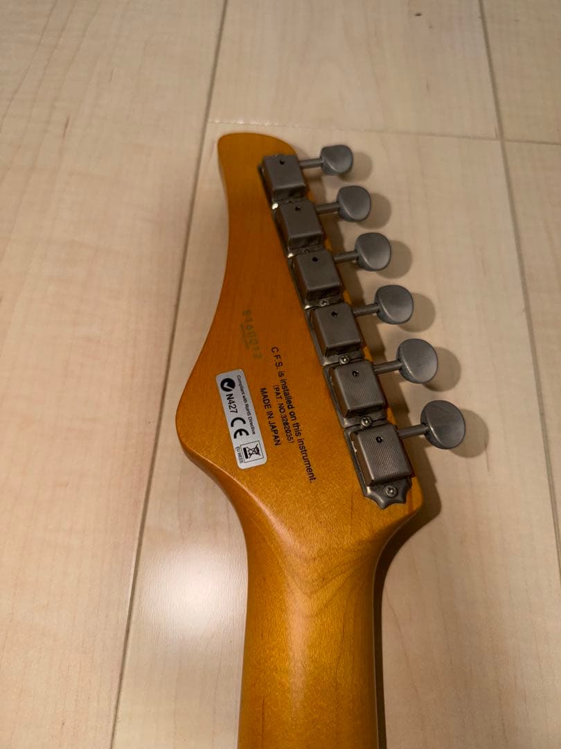 FGN フジゲン　弦2セット　ギターソフトケース付