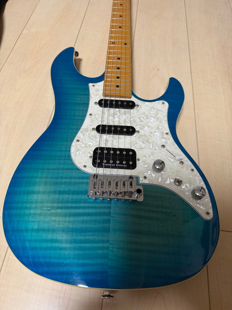 FGN フジゲン　弦2セット　ギターソフトケース付