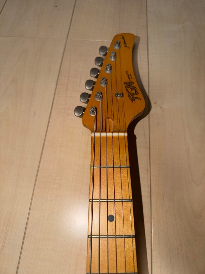 FGN フジゲン　弦2セット　ギターソフトケース付