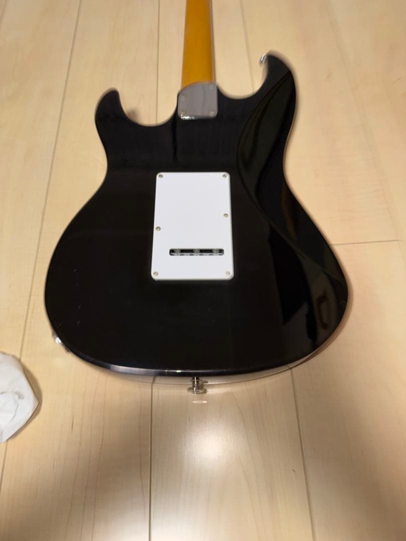 FGN フジゲン　弦2セット　ギターソフトケース付