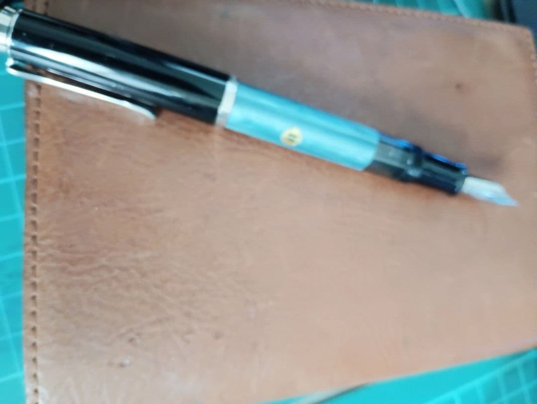 ペリカン　鉄ペン　吸引式　EF ヒナ２羽