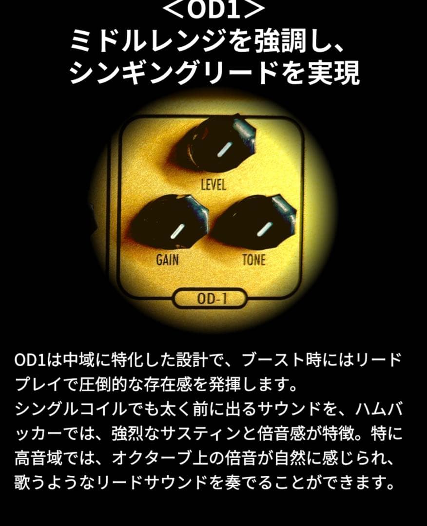 Futra MULTIVERSE ギターエフェクター　超美品