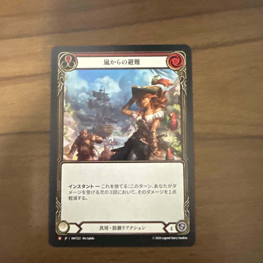 Flesh and Blood 嵐からの避難 HNT 日本語版