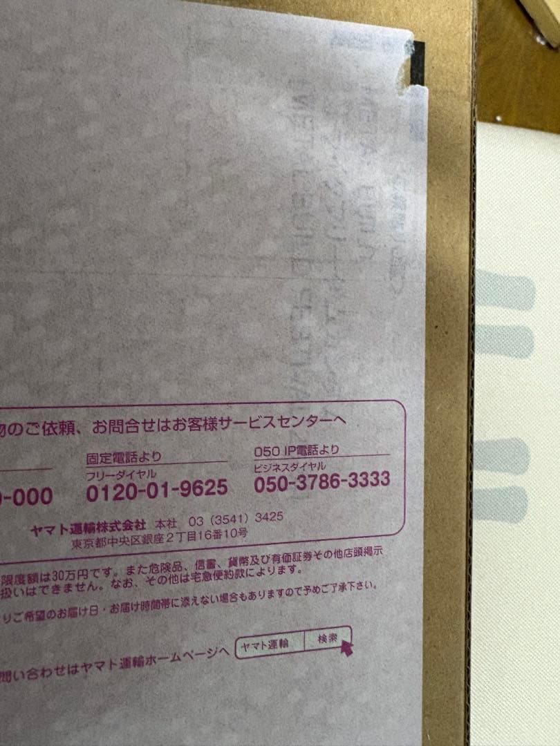 L BUILD FESTIVAL デスティニー　ストフリ　セット