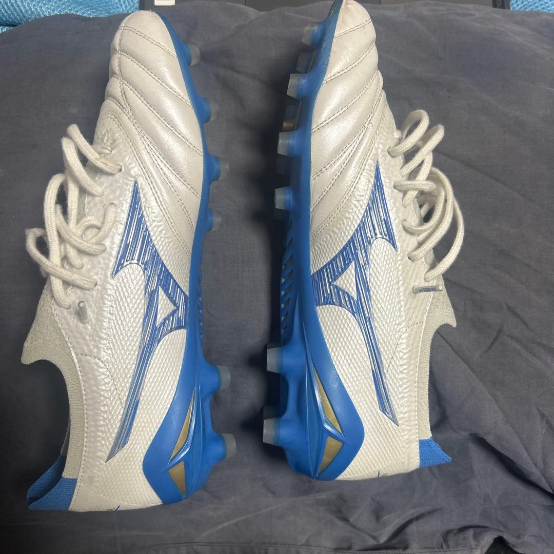 モレリアネオ４β 26㎝　希少