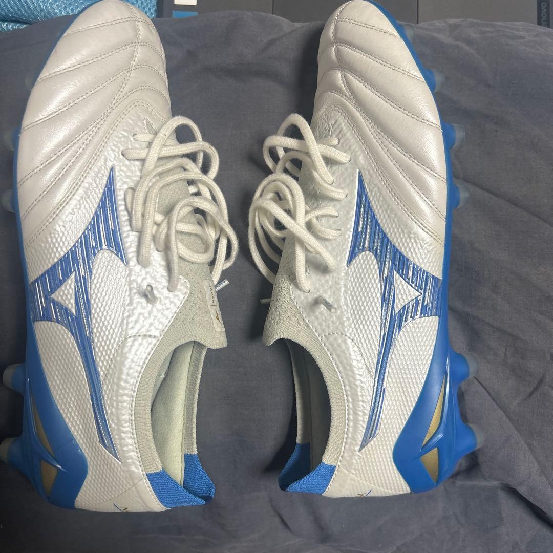 モレリアネオ４β 26㎝　希少