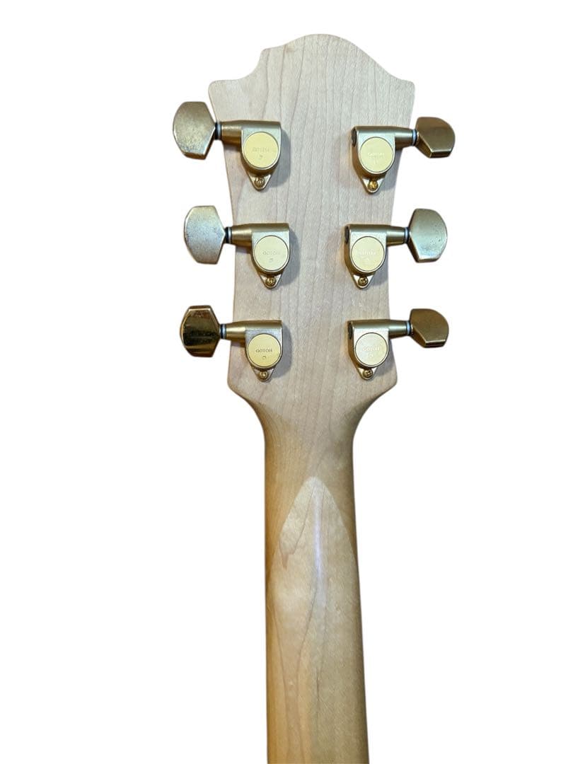 TARGET by FERNANDES エレキギター ケース