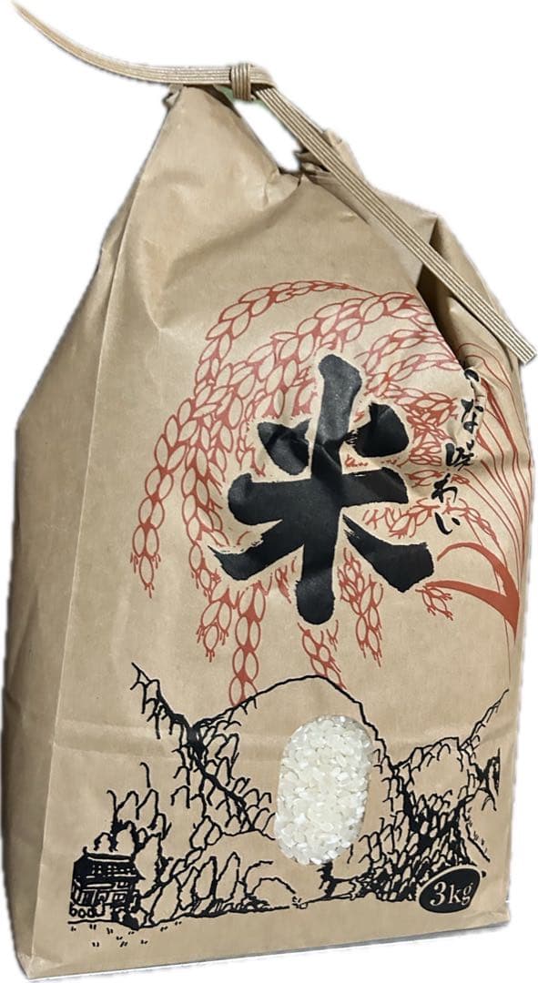 キヌムスメ　R6 新米　島根県産　送料込み