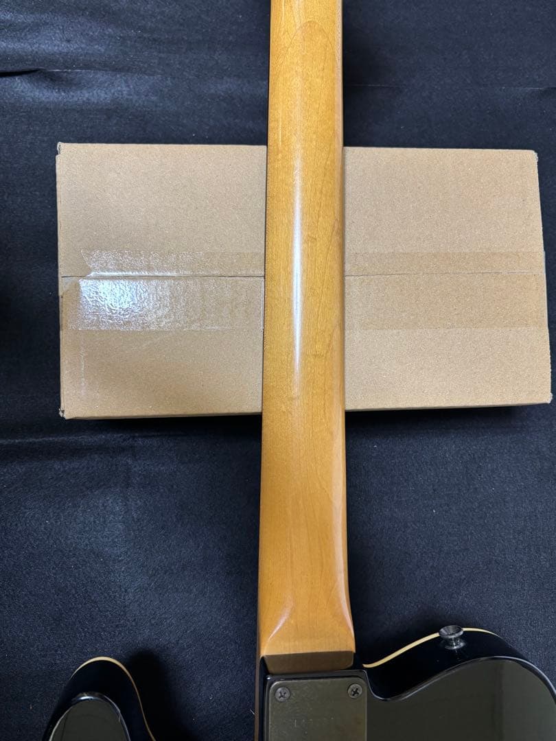 フェルナンデス TEJ LIMITED EDITION 2ハム