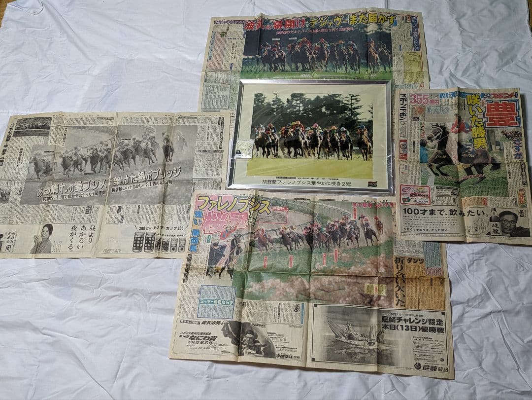 ファレノプシス　武豊　秋華賞　競走馬　写真　パネル　額縁入り　スポーツ新聞付き