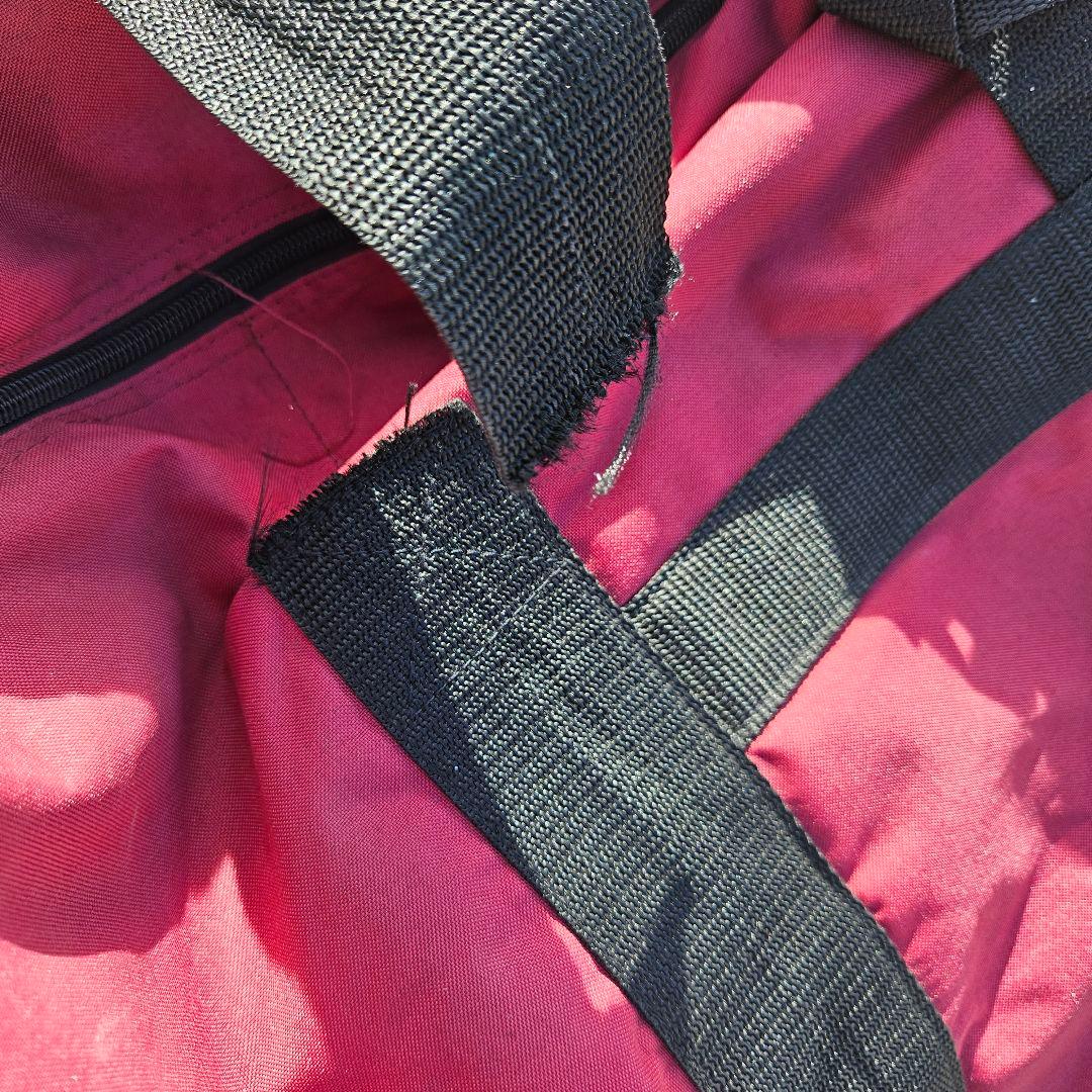 希少品　極小径車　pezz　ペズ　小径自転車　 車載可能　ハンディーモービル