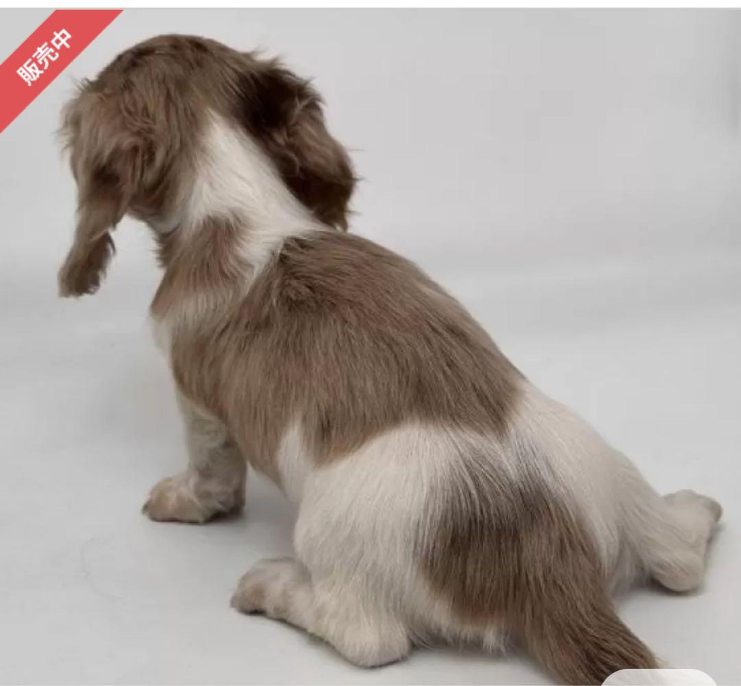 anna 様 ご確認用 です。