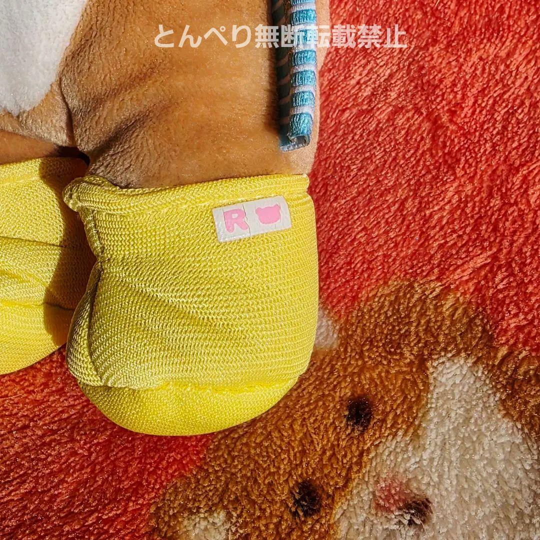 リラックマ　ハッピーホリデーピクニック【公式】あつめてぬいぐるみ　３個セット