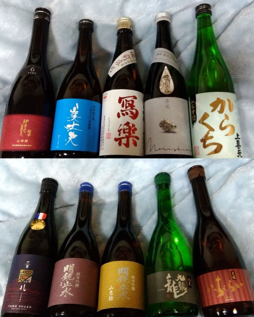 日本酒 10本セット