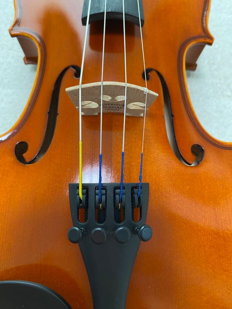 【2022年製】Andreas Eastman バイオリンVL80 1/2