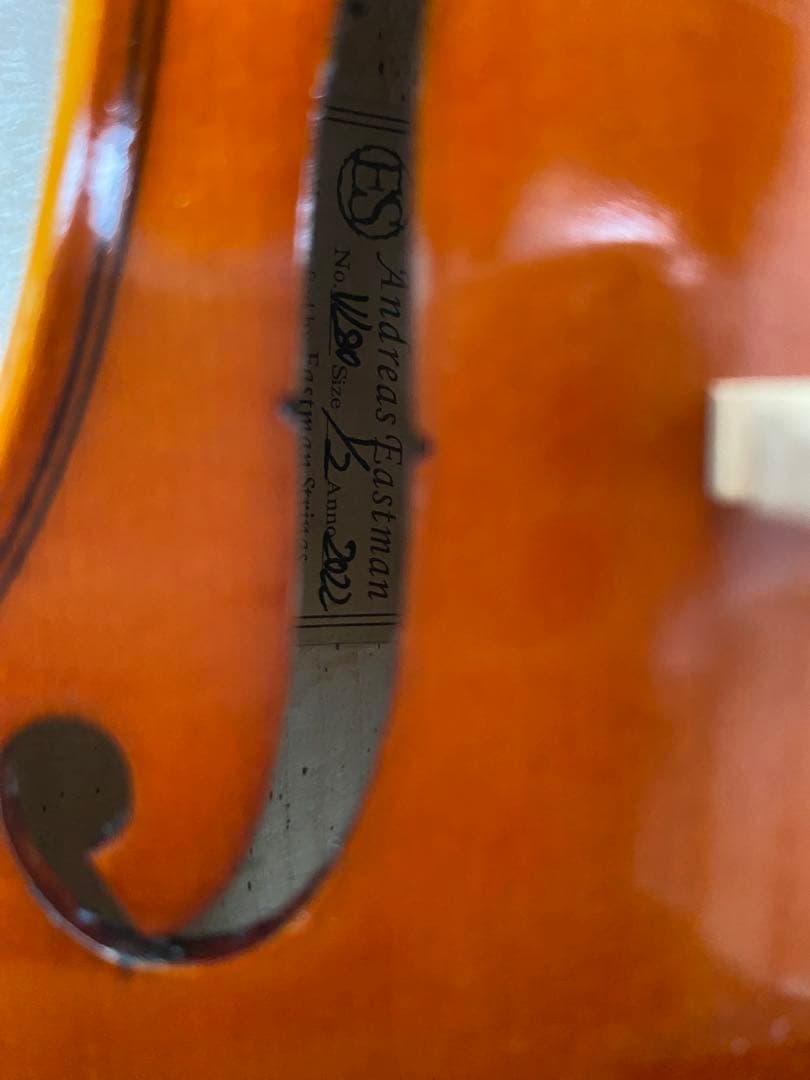 【2022年製】Andreas Eastman バイオリンVL80 1/2