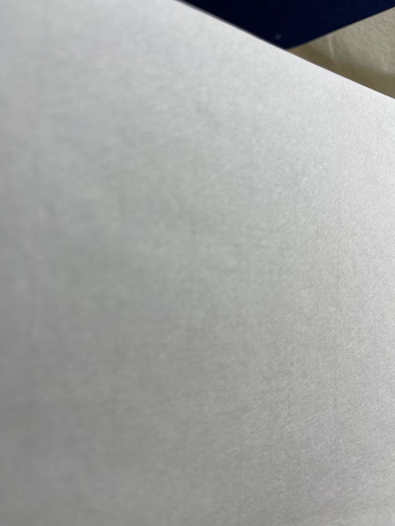 【墨研】手漉き画仙紙◆白蘭 半切 二反◆未使用品◆漢字向 書道古紙