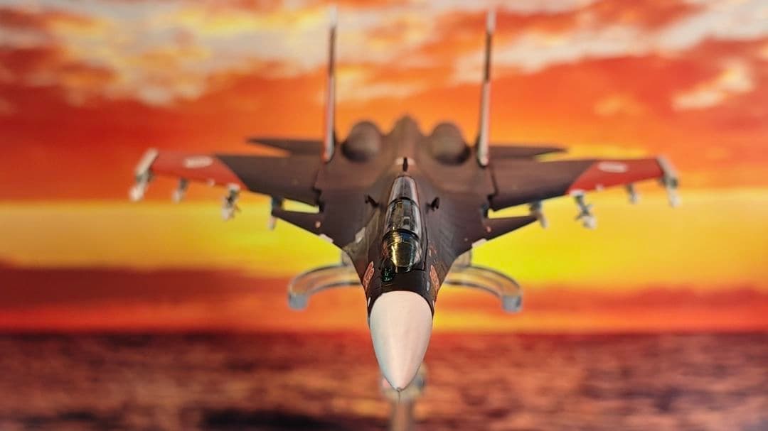 1/144 エースコンバット Su-30 ミハイ仕様 仕上げ改造品 電飾