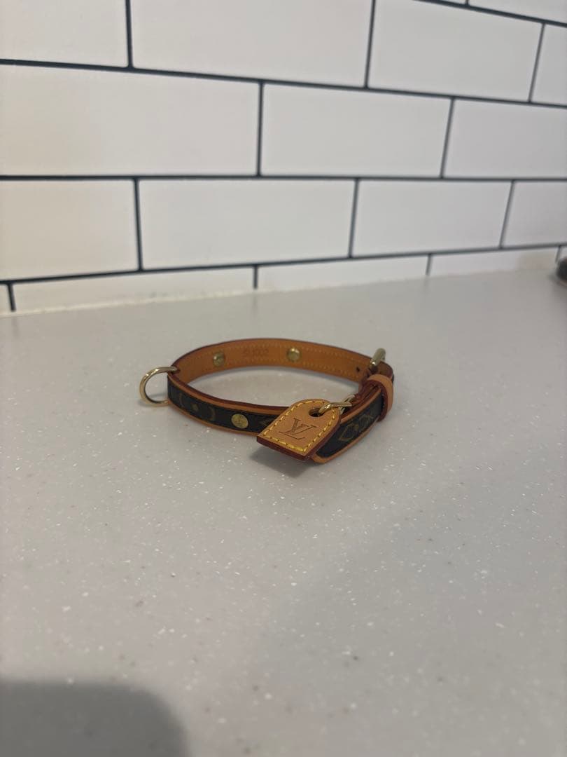 LOUIS VUITTON 小型犬用　リードセット