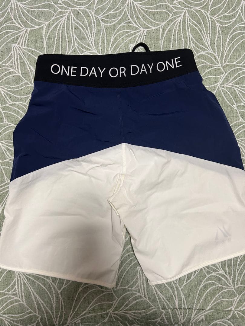 山澤 サーフパンツ RAY フィジーク