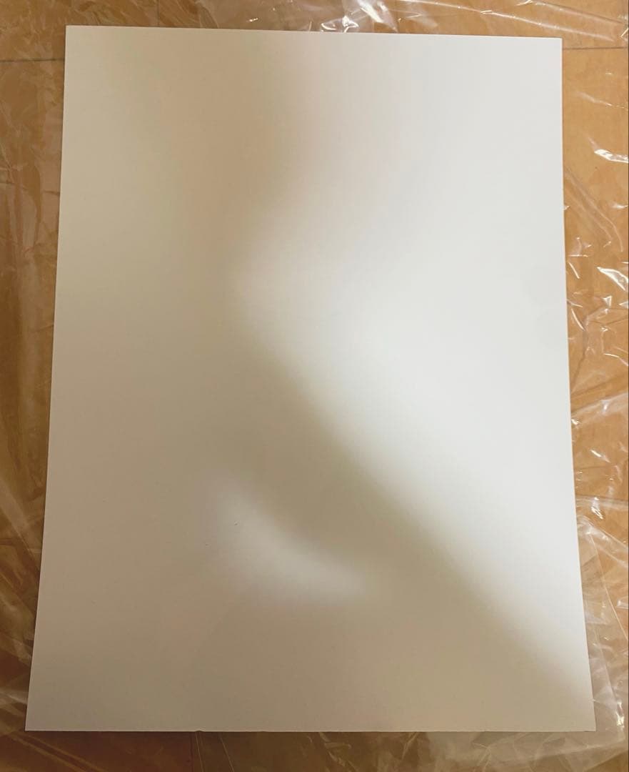 Hazbinhotel ハズビンホテル　レンチキュラーポスター　ハスク