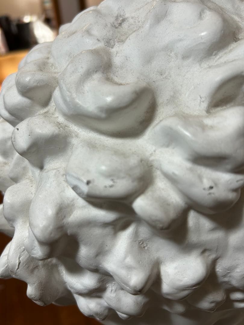 ヘルメス石膏、美術、美大