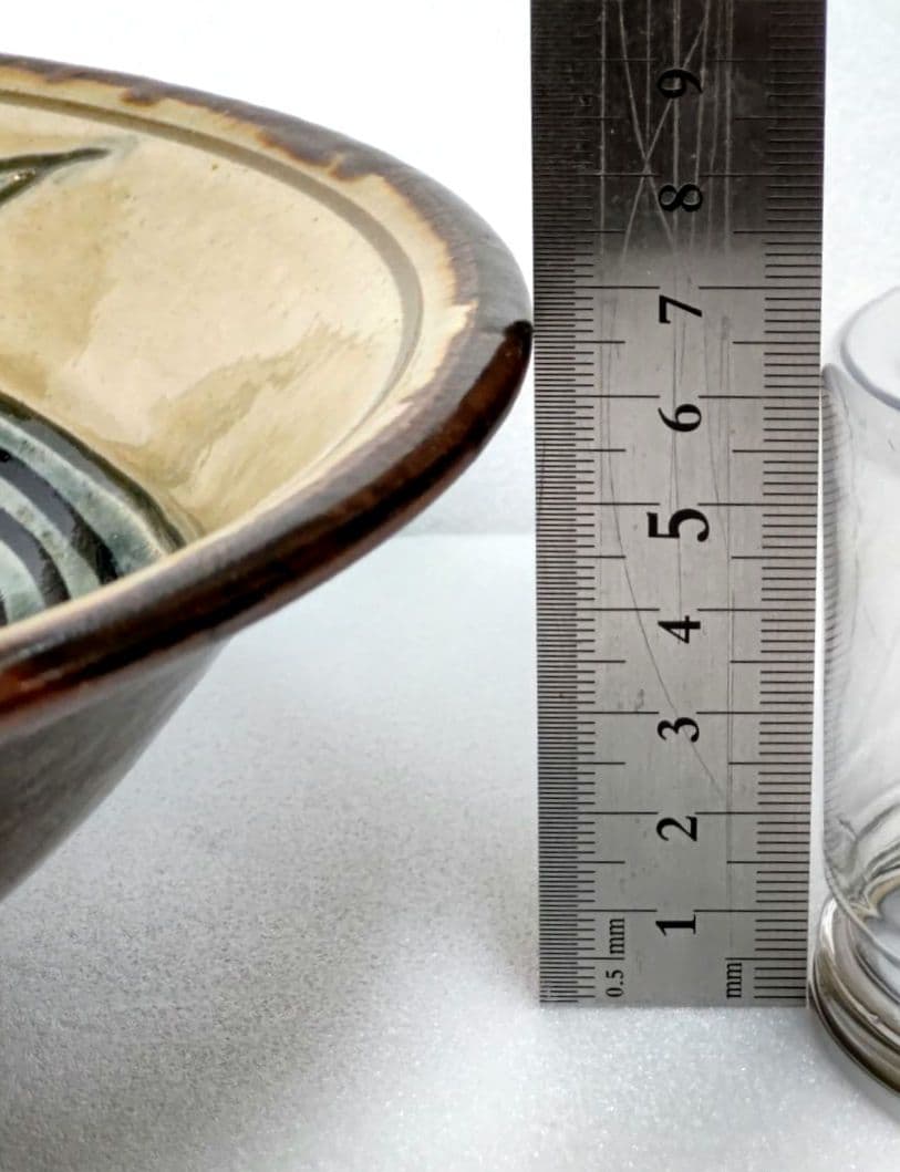 魚紋の大皿 金城敏昭作